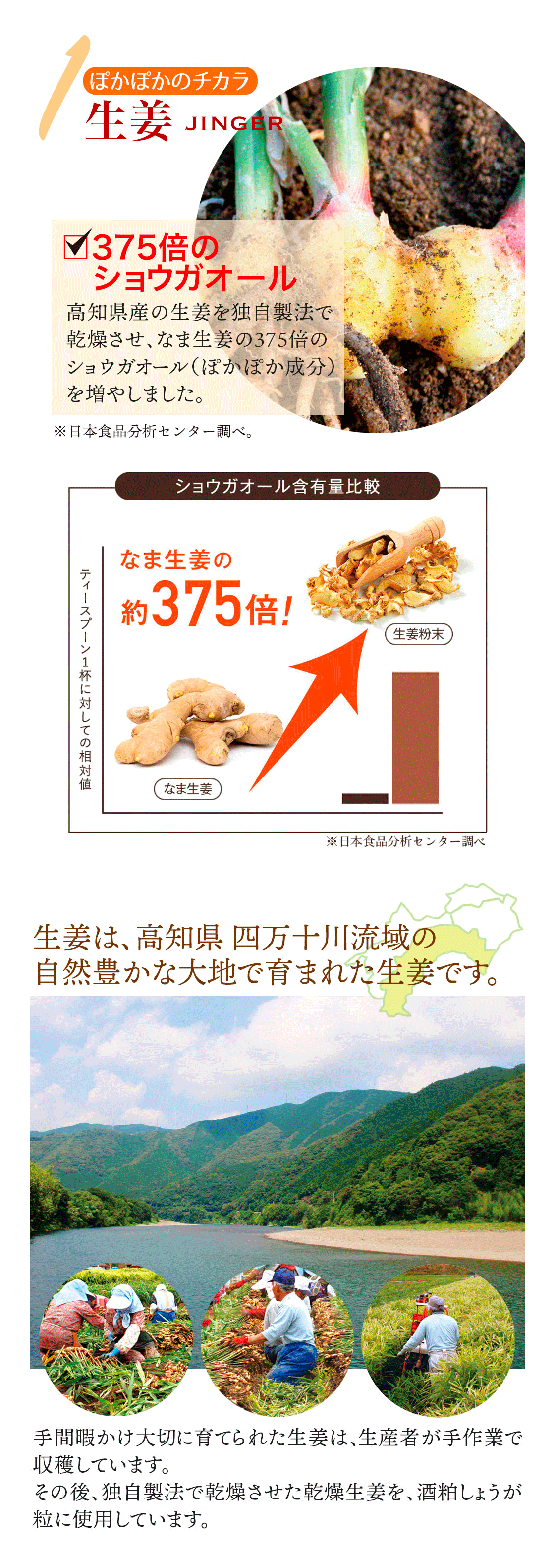 ぽかぽかのチカラ　1.生姜jinger　375倍のショウガオール含有